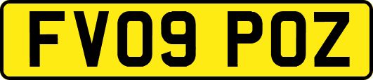 FV09POZ