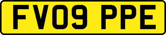 FV09PPE