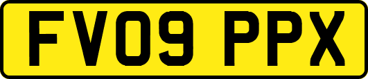 FV09PPX