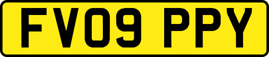 FV09PPY