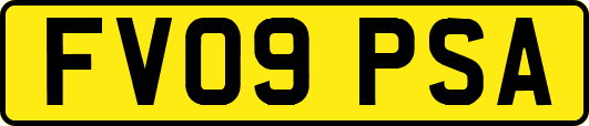 FV09PSA
