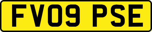 FV09PSE