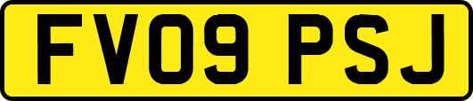 FV09PSJ