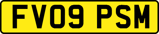 FV09PSM
