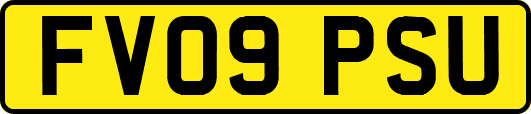 FV09PSU