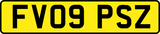 FV09PSZ