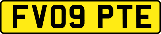 FV09PTE