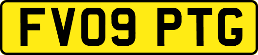 FV09PTG