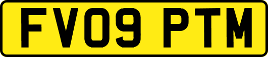 FV09PTM