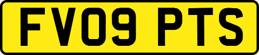 FV09PTS
