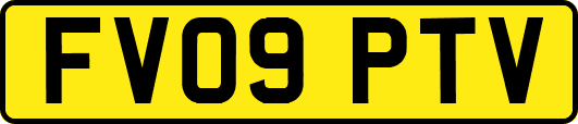 FV09PTV