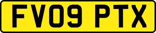 FV09PTX