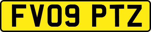 FV09PTZ