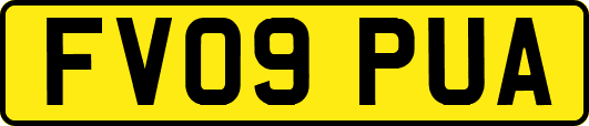 FV09PUA
