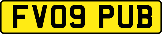 FV09PUB