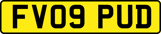 FV09PUD