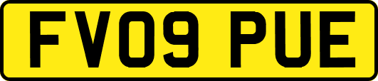 FV09PUE