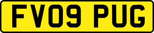 FV09PUG