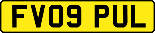 FV09PUL