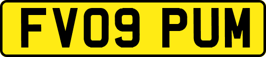 FV09PUM