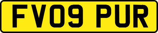 FV09PUR