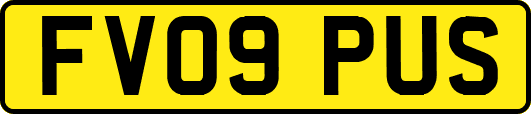 FV09PUS