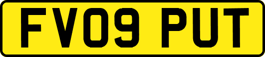 FV09PUT