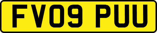 FV09PUU