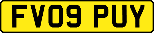 FV09PUY