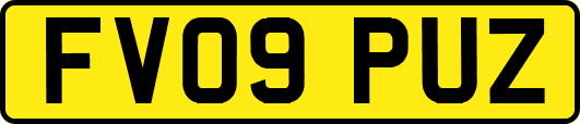 FV09PUZ