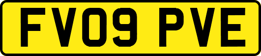 FV09PVE
