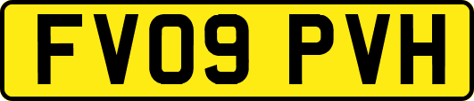 FV09PVH