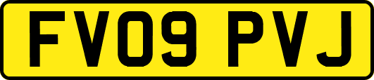 FV09PVJ