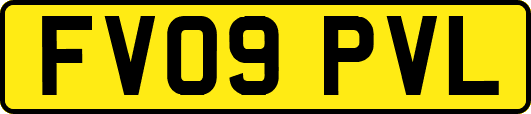 FV09PVL