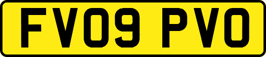 FV09PVO
