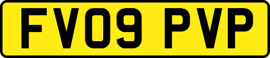 FV09PVP