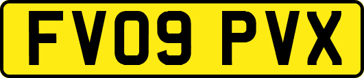 FV09PVX