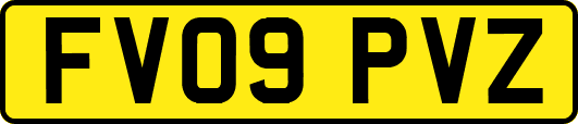 FV09PVZ