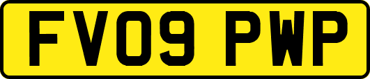 FV09PWP