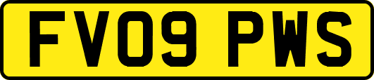 FV09PWS