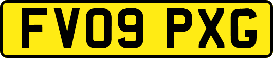 FV09PXG