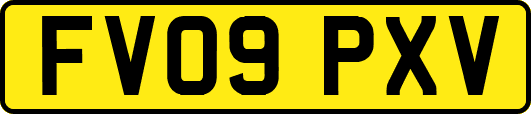 FV09PXV