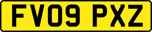 FV09PXZ