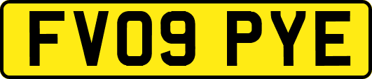 FV09PYE