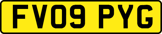 FV09PYG