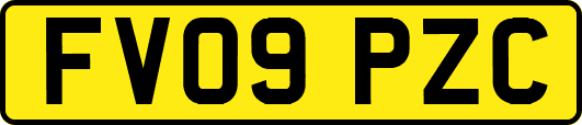 FV09PZC