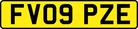 FV09PZE