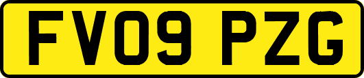 FV09PZG