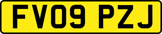 FV09PZJ
