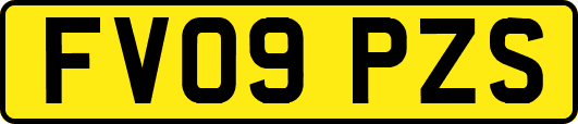 FV09PZS